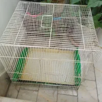 قفس پرنده