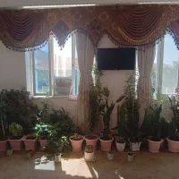 گلهای زیبا وشاداب