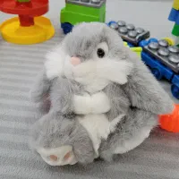 خرگوش پولیشی خارجی|اسباببازی|مشهد, ابوذر|دیوار