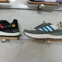 قاب شیشه ای دوتیکه