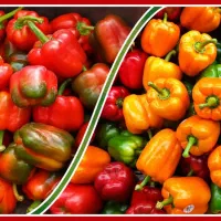 فلفل دلمه ایی