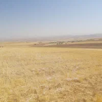 گوشی آ۲۴رام۶