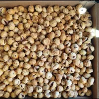 انواع انجیر