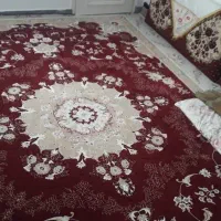 فرش دوازده متری در حد