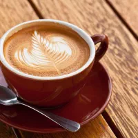 شراکت در کافه