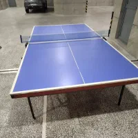 میز پینگ پنگ