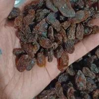 کشمش ومویز خرمامخصوص آبگیری بهمراه چرخ کردن رایگان|خوردنی و آشامیدنی|کرمانشاه, |دیوار