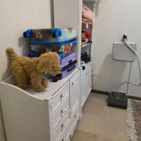 سرویس تخت چیلک اصل