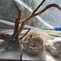 لوازم آکواریوم