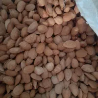 بادام|خوردنی و آشامیدنی|شیراز, اکبر آباد|دیوار