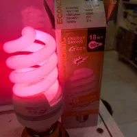 لامپ رنگی سبز قرمز آبی|لامپ و چراغ|ری, اقدسیه|دیوار