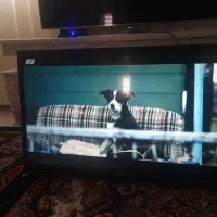 تلویزیون ۳۲ سامسونگ|تلویزیون و پروژکتور|مشکیندشت, |دیوار