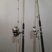 لنسر ماهیگیری