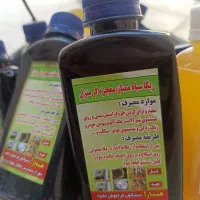 ریکا سیاه زیر قیمت بازار