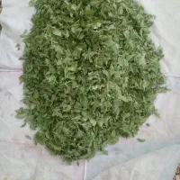 سبزی ریحان پاک شده تازه محلی