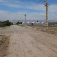 ۵۰۰۰ متر زمین چهاردیواری سنددار دارای مجوز گلخانه|فروش دفتر صنعتی، کشاورزی، تجاری|نظرآباد, رسالت|دیوار