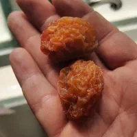 آلو بخارا درجه یک آبجوشی|خوردنی و آشامیدنی|شیراز, ریاستی|دیوار