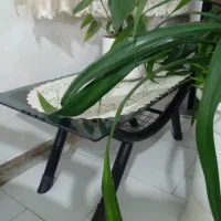 به نام خدا  ۶ عدد صندلی  انتظار  و میز مدیریت|مبلمان اداری|تنکابن, |دیوار