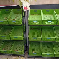 قفسه و ترازو