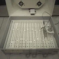 دستگاه جوجه کشی|لوازم جانبی حیوانات|قزوین, |دیوار