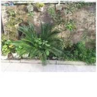 اجاره سوییت تازه ساخت ماهانه هفتگی روزانه