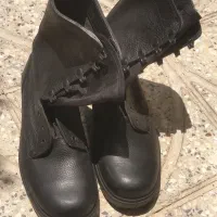 دو عددپوتین بهمن