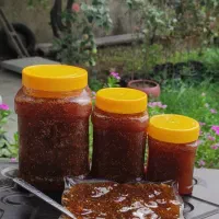 مربا و شیره انجیر درجه ۱