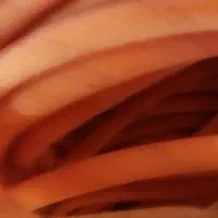 شلنگ یک اینج