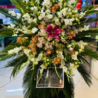 تاجگل طبیعی|گل و گیاه طبیعی|یزد, |دیوار