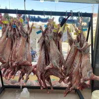 دعوت به همکاری تعدادی خانم