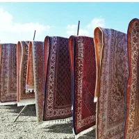 قالیشویی ومبل شویی سلطنت