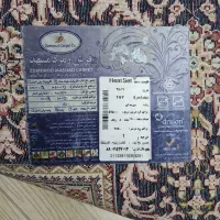 فرش ۶ متری|فرش|ابهر, |دیوار