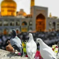 لاکچری هتل مشهد