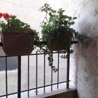 رهن۱۹ماهه آپارتمان تک واحدی۱۱۷متری غرق نور دربنیاد|اجارهٔ آپارتمان|کرج, بنیاد|دیوار