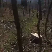 زمینی به مساحت2500متری دروستای کاشکی به فروش میرسد|فروش زمین و ملک کلنگی|سیاهکل, |دیوار