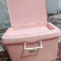 جا نانی