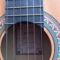 گیتار|گیتار، بیس، امپلیفایر|رودهن, |دیوار