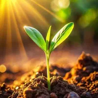 تر..ک اع.تیاد