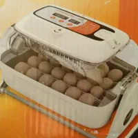 دستگاه جوجه کشی فروش ویژه و استثنایی