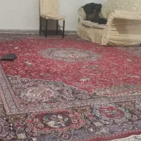 فرش ماشینی سالم|فرش|تهران, امام زاده عبدالله|دیوار
