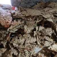 نان خشک تمیزبدون ذری آشغال