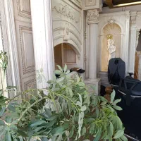 اجرای تخصصی کابینت آشپزخانه|مصالح و تجهیزات ساختمان|یزد, |دیوار