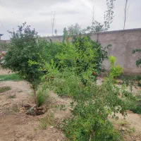 چهاردیواری