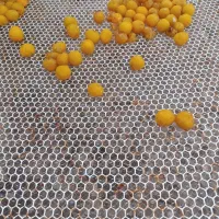 کارگر می‌خوام برای آلو پوست کردن