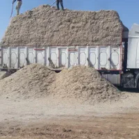 فروش باگاس یا کاه نیشکر جایگزین کامل کاه گندم|لوازم جانبی حیوانات|اصفهان, باغ فدک|دیوار