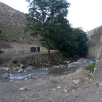 فروش زمین با مجوز مرغداری گوشتی|فروش دفتر صنعتی، کشاورزی، تجاری|آلاشت, |دیوار