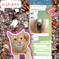 آموزش پاکسازی و سابلیمینال
