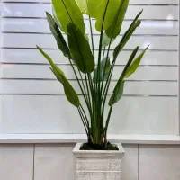 گیاهان مصنوعی و کربن وال سبز و رنگی|گل مصنوعی|صفادشت, |دیوار