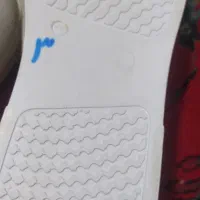 کفش مردانه|کیف، کفش، کمربند|شیراز, اصلاح‌نژاد|دیوار