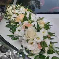 گل آرایی بهترین کیفیت ارزان ترین قیمت